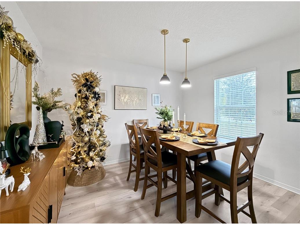 1125 Brenton Manor Drive Winter Haven FL 33881 S5140049 image5