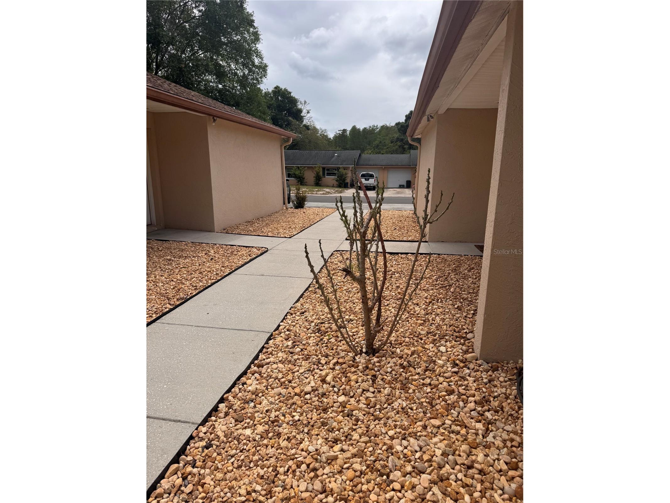 1125 E Rohe Street #B Tarpon Springs FL 34689 TB8495710 image1