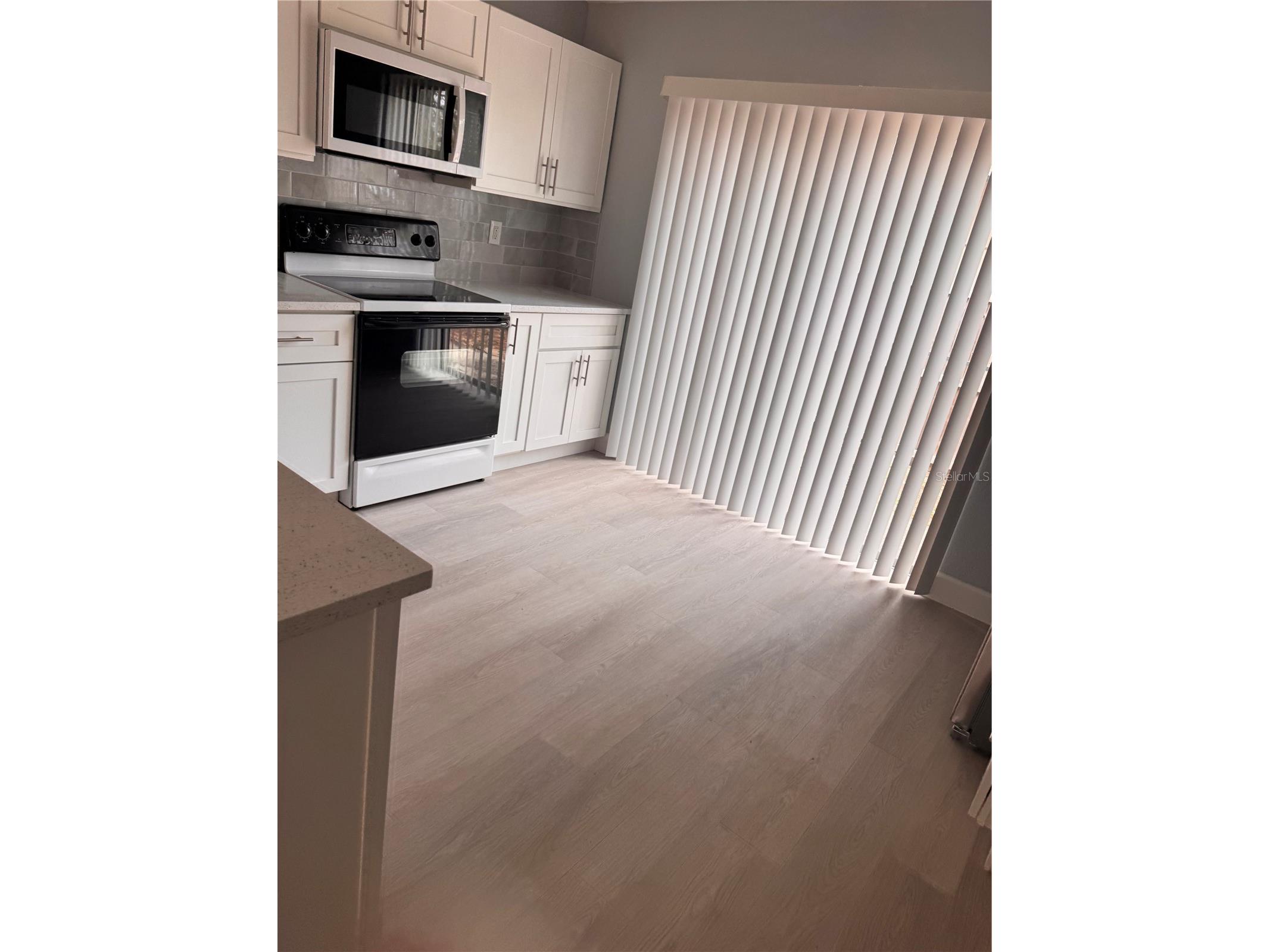 1125 E Rohe Street #B Tarpon Springs FL 34689 TB8495710 image4