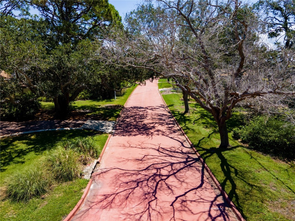 1125 Friendly Way S Saint Petersburg FL 33705 TB8412742 image10