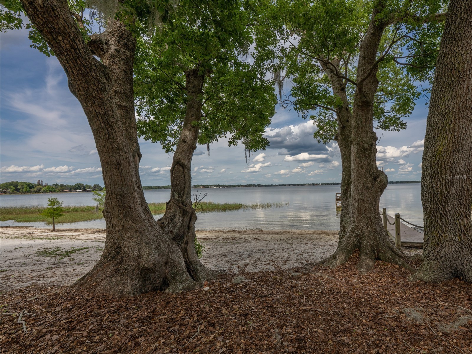 1125 Kelso Boulevard Windermere FL 34786 - LAKE BUTLER O6406003 image60