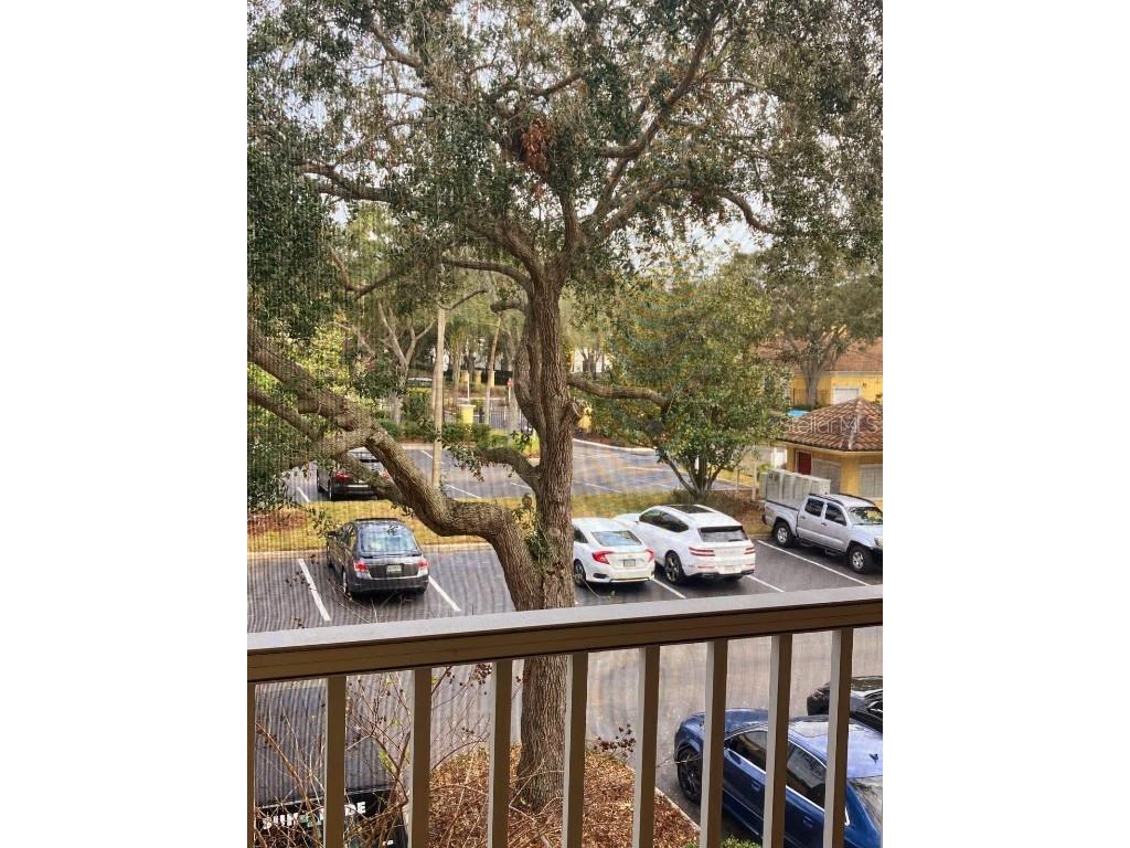 1125 Lake Shadow Circle #5203 Maitland FL 32751 O6367788 image17