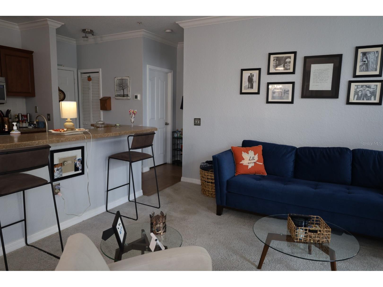 1125 Lake Shadow Circle #5211 Maitland FL 32751 O6365671 image6