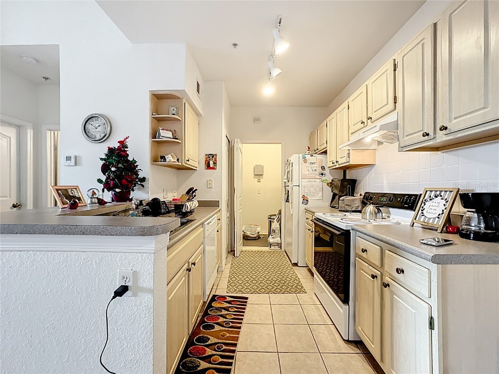 1125 Lake Shadow Circle #5308 Maitland FL 32751 O6363018 image11