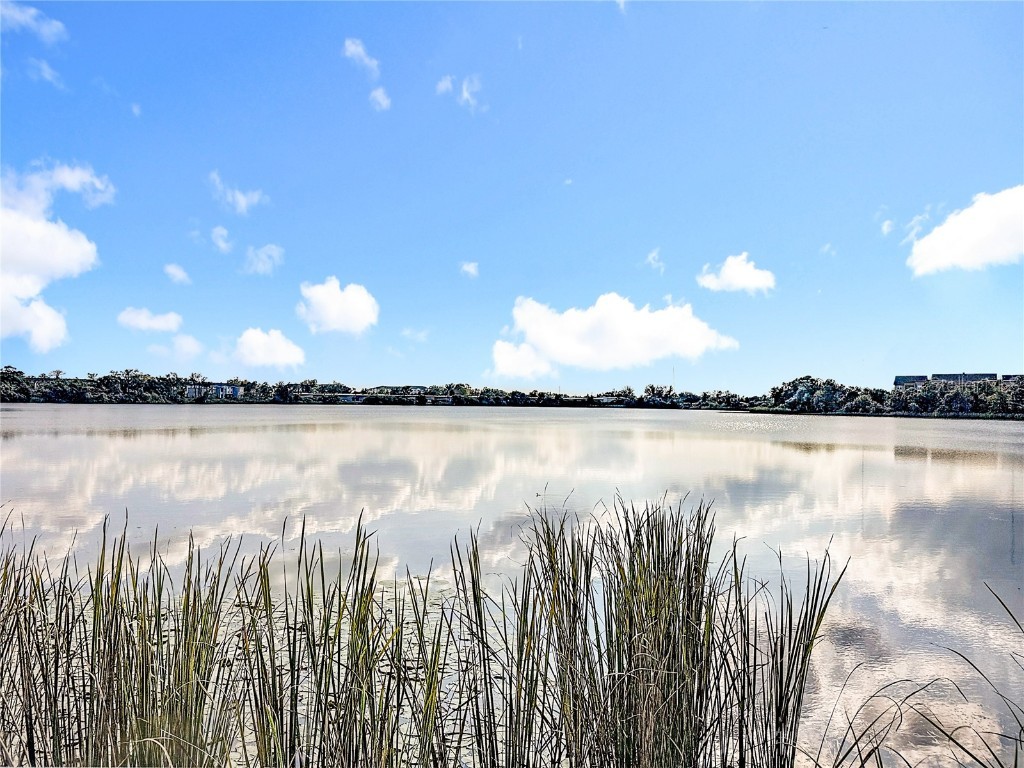 1125 Lake Shadow Circle #5308 Maitland FL 32751 O6363018 image23