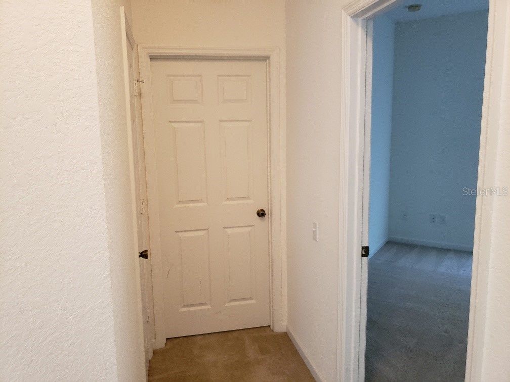 1125 Lascala Drive Windermere FL 34786 O6409403 image24