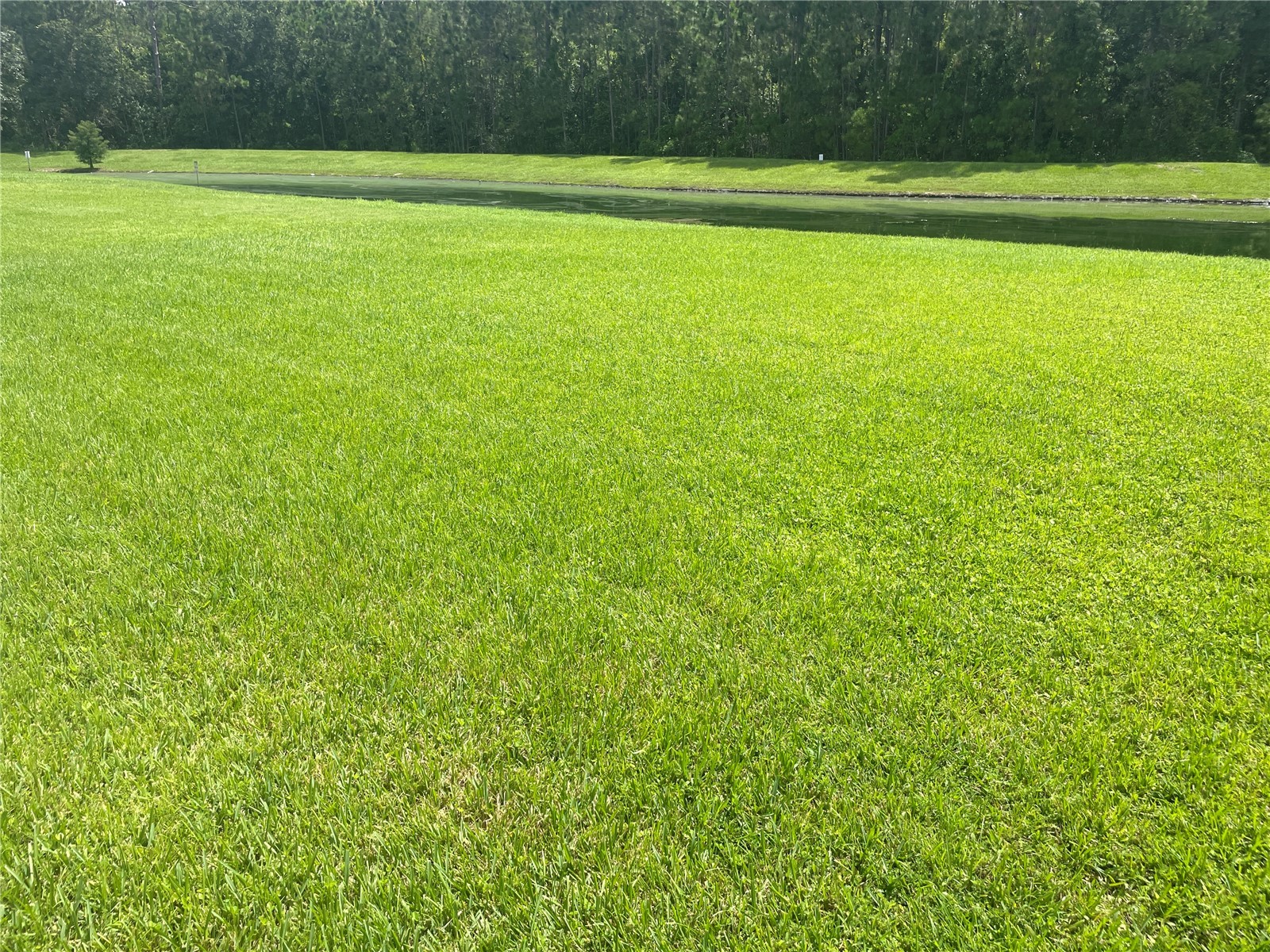 1125 Lascala Drive Windermere FL 34786 O6409403 image33