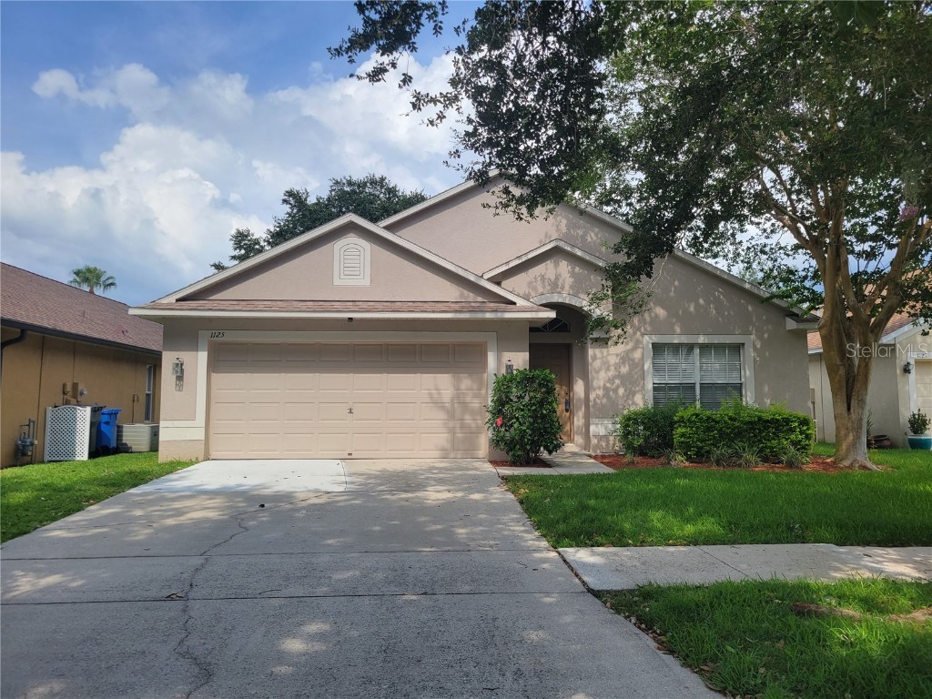 1125 Lumsden Pointe Boulevard Valrico FL 33594 T3454828 image1