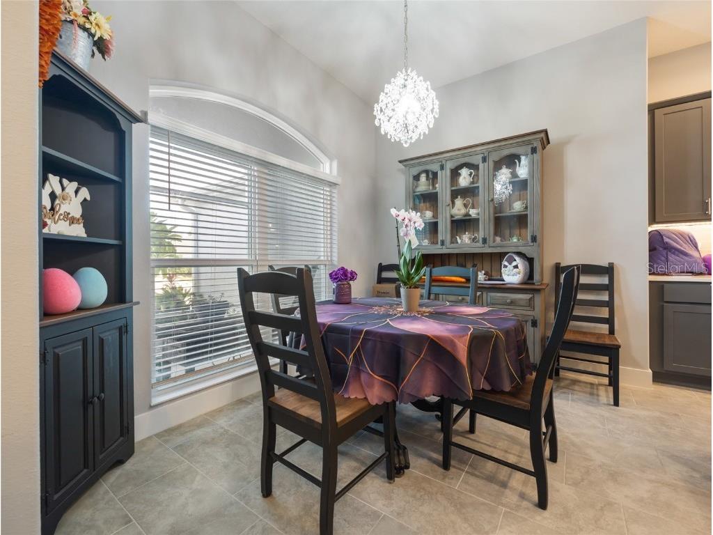 1125 Maynard Path The Villages FL 32163 OM709711 image23