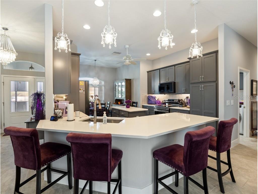 1125 Maynard Path The Villages FL 32163 OM709711 image35