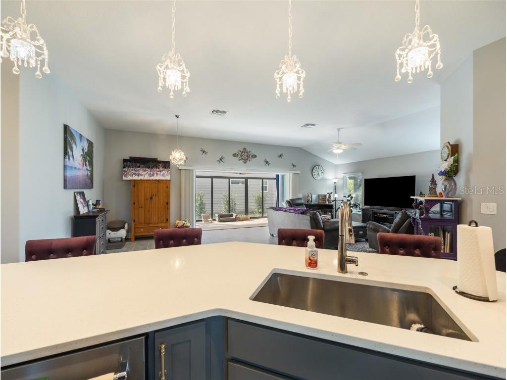 1125 Maynard Path The Villages FL 32163 OM709711 image37