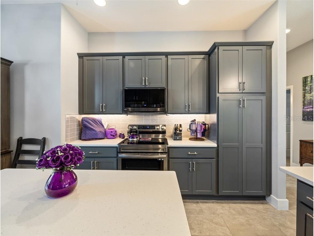 1125 Maynard Path The Villages FL 32163 OM709711 image38