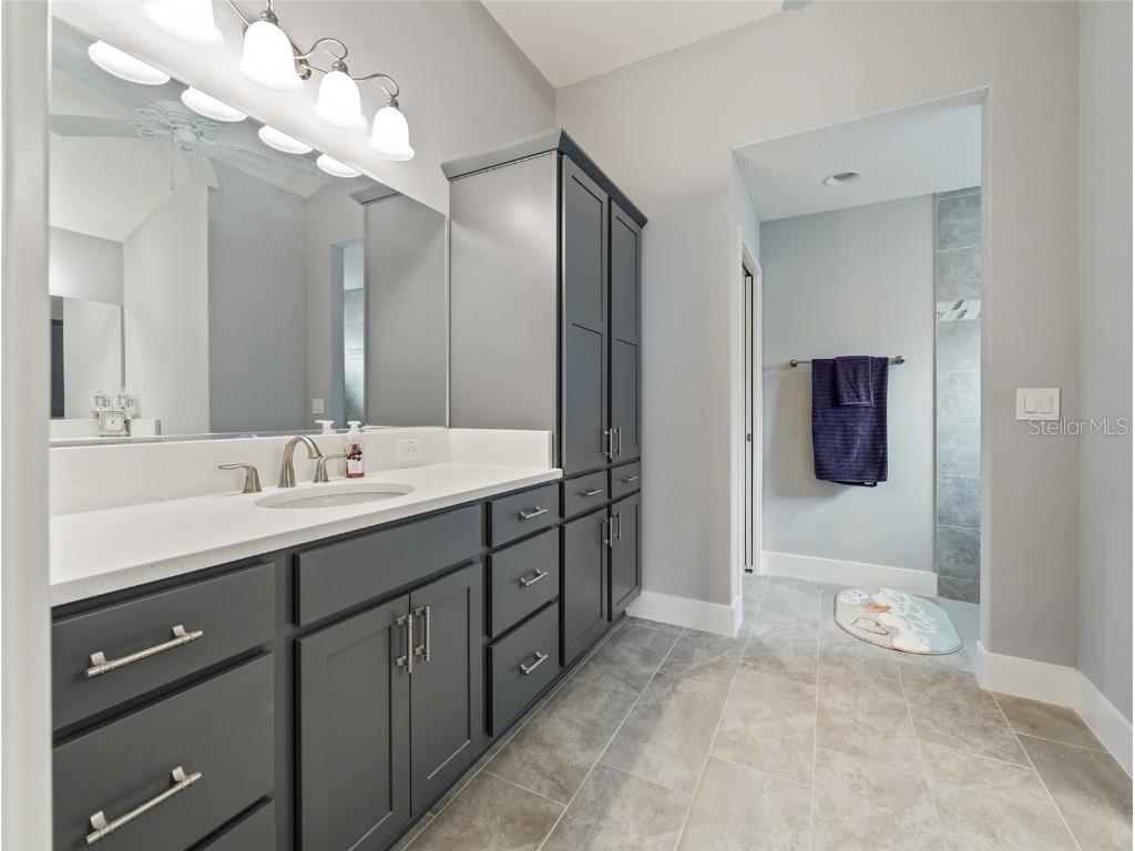 1125 Maynard Path The Villages FL 32163 OM709711 image47