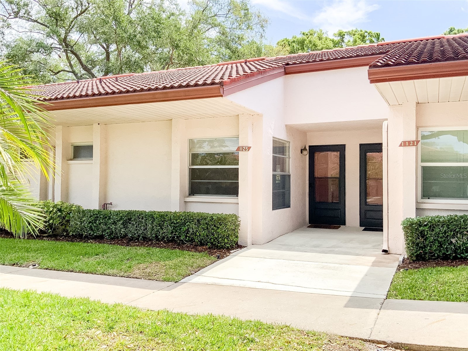 1125 Montrose Place Dunedin FL 34698 TB8498092 image1