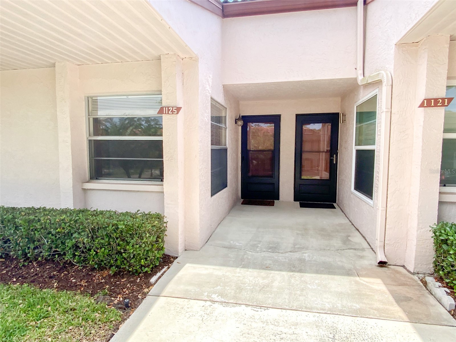 1125 Montrose Place Dunedin FL 34698 TB8498092 image2