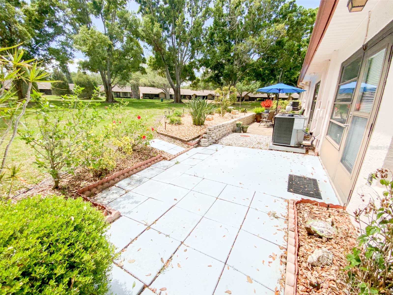 1125 Montrose Place Dunedin FL 34698 TB8498092 image20