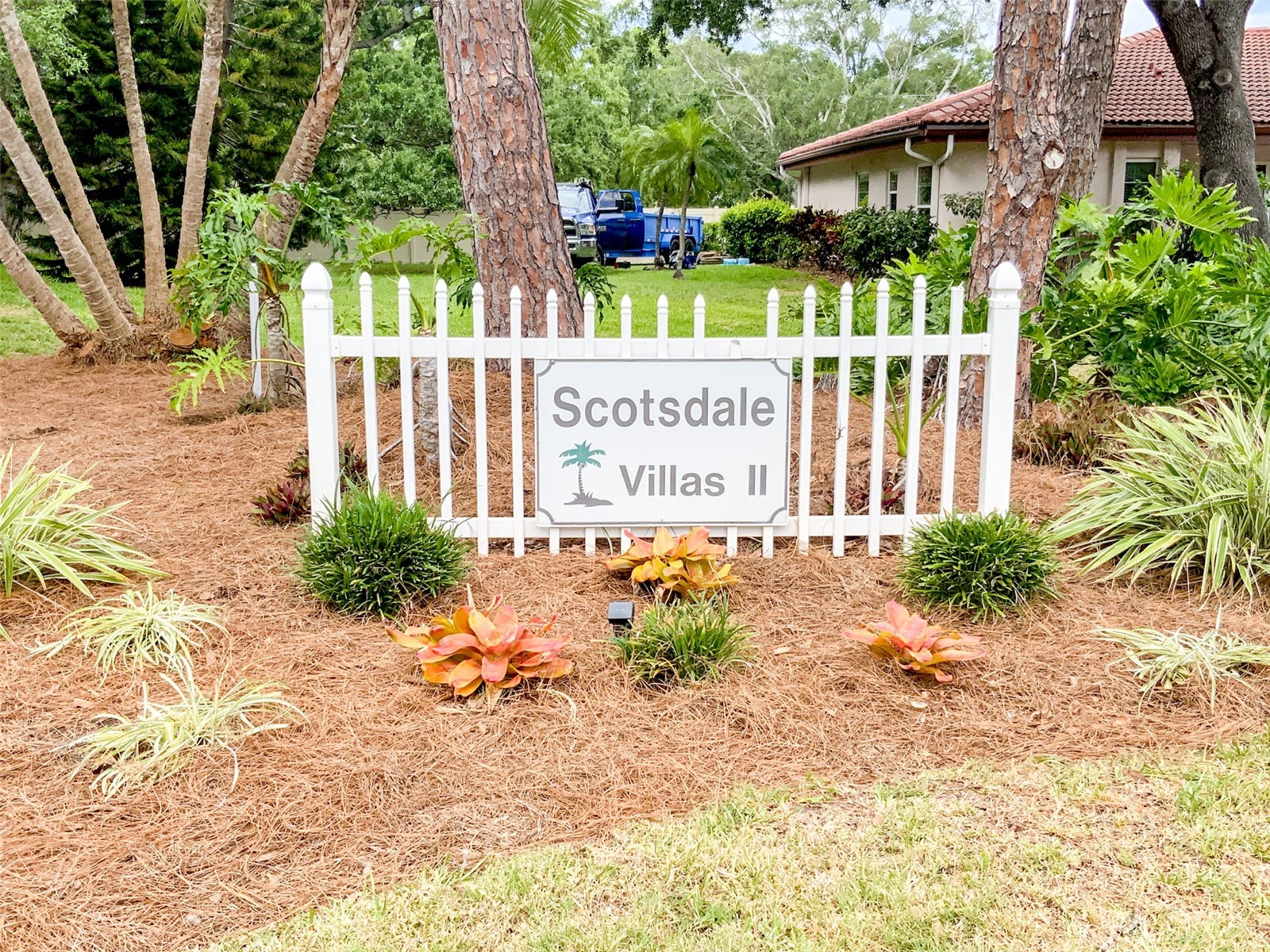 1125 Montrose Place Dunedin FL 34698 TB8498092 image23