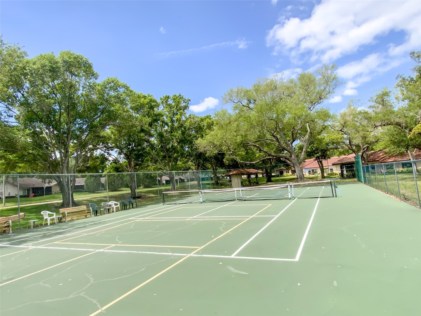 1125 Montrose Place Dunedin FL 34698 TB8498092 image25