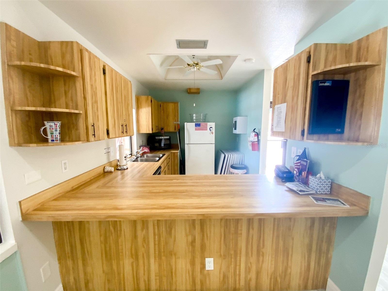 1125 Montrose Place Dunedin FL 34698 TB8498092 image29