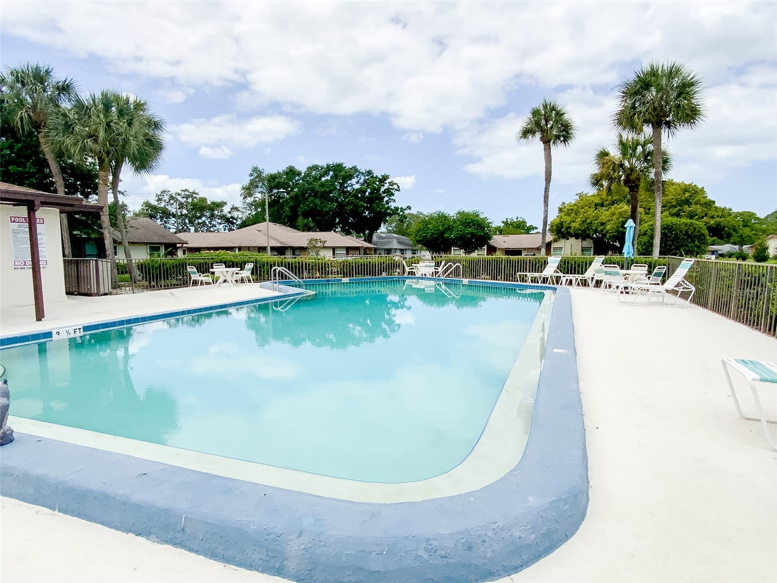 1125 Montrose Place Dunedin FL 34698 TB8498092 image37