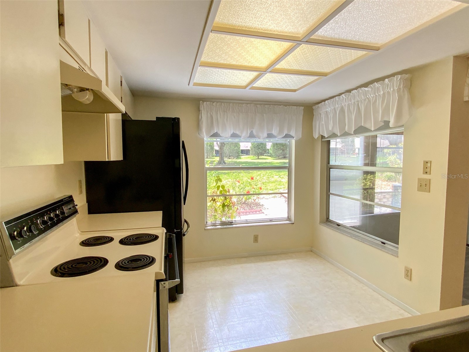 1125 Montrose Place Dunedin FL 34698 TB8498092 image5