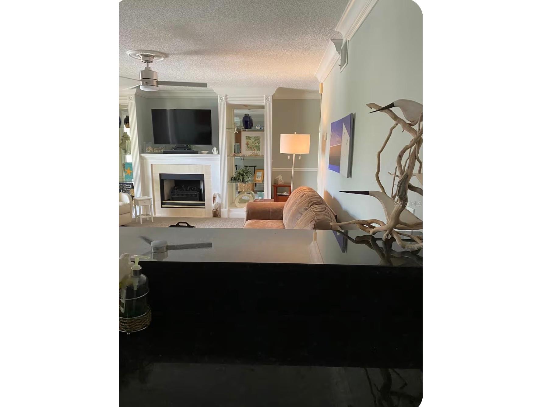 1125 Pinellas Bayway S #201 FURNISHED Saint Petersburg FL 33715 - GULF OF MEXICO TB8490319 image14