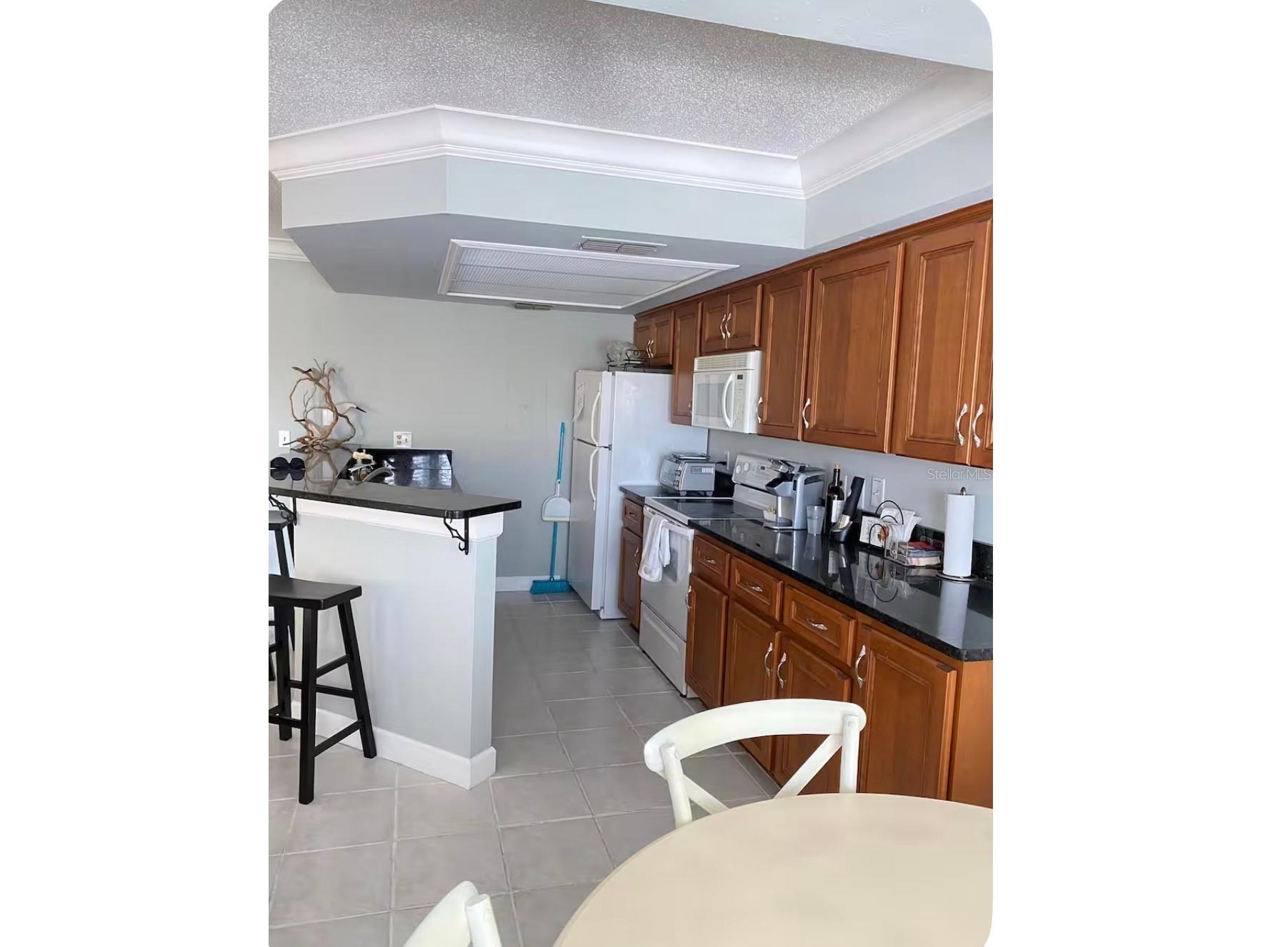 1125 Pinellas Bayway S #201 FURNISHED Saint Petersburg FL 33715 - GULF OF MEXICO TB8490319 image15