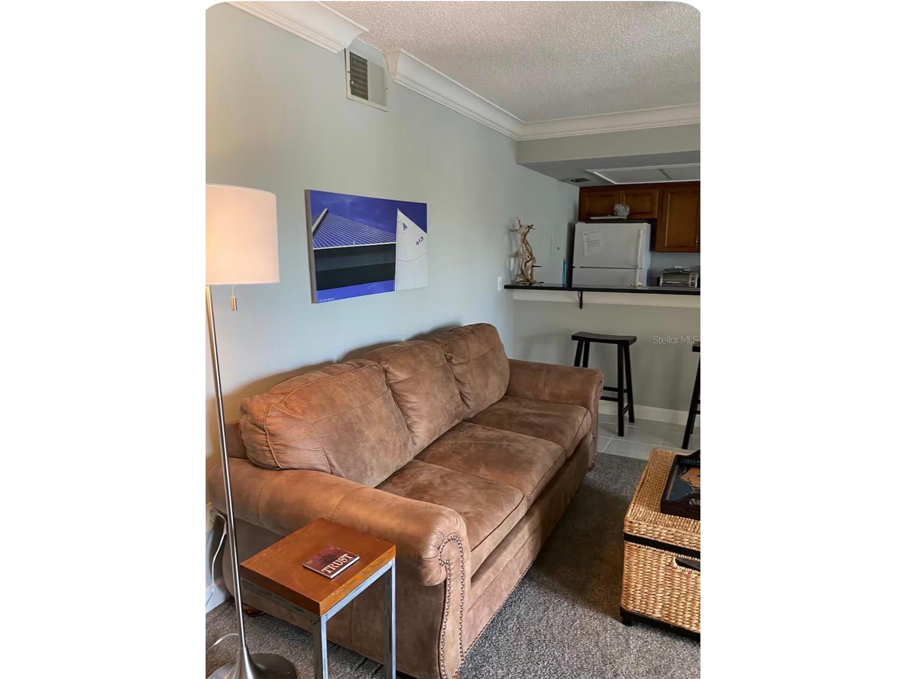 1125 Pinellas Bayway S #201 FURNISHED Saint Petersburg FL 33715 - GULF OF MEXICO TB8490319 image7