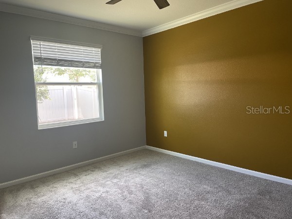 1125 Saguaro Street Haines City FL 33844 O6385637 image19