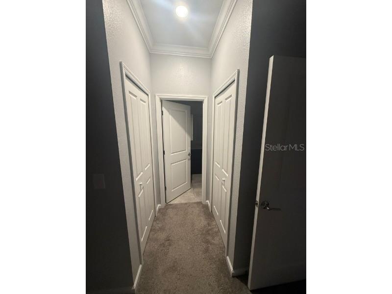 1125 Saguaro Street Haines City FL 33844 O6385637 image40