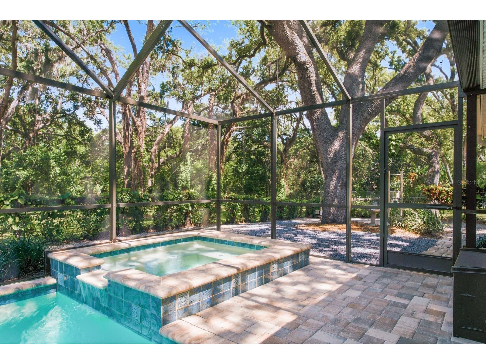 1125 Spanish Oaks Drive W Palm Harbor FL 34683 TB8512699 image53
