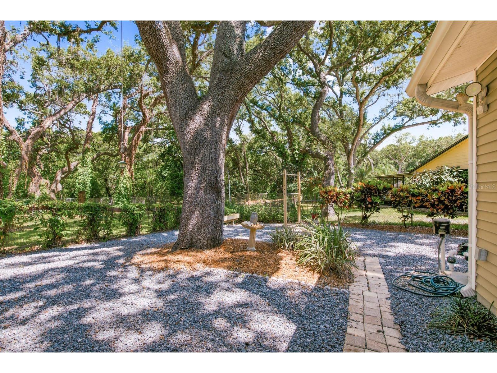 1125 Spanish Oaks Drive W Palm Harbor FL 34683 TB8512699 image54