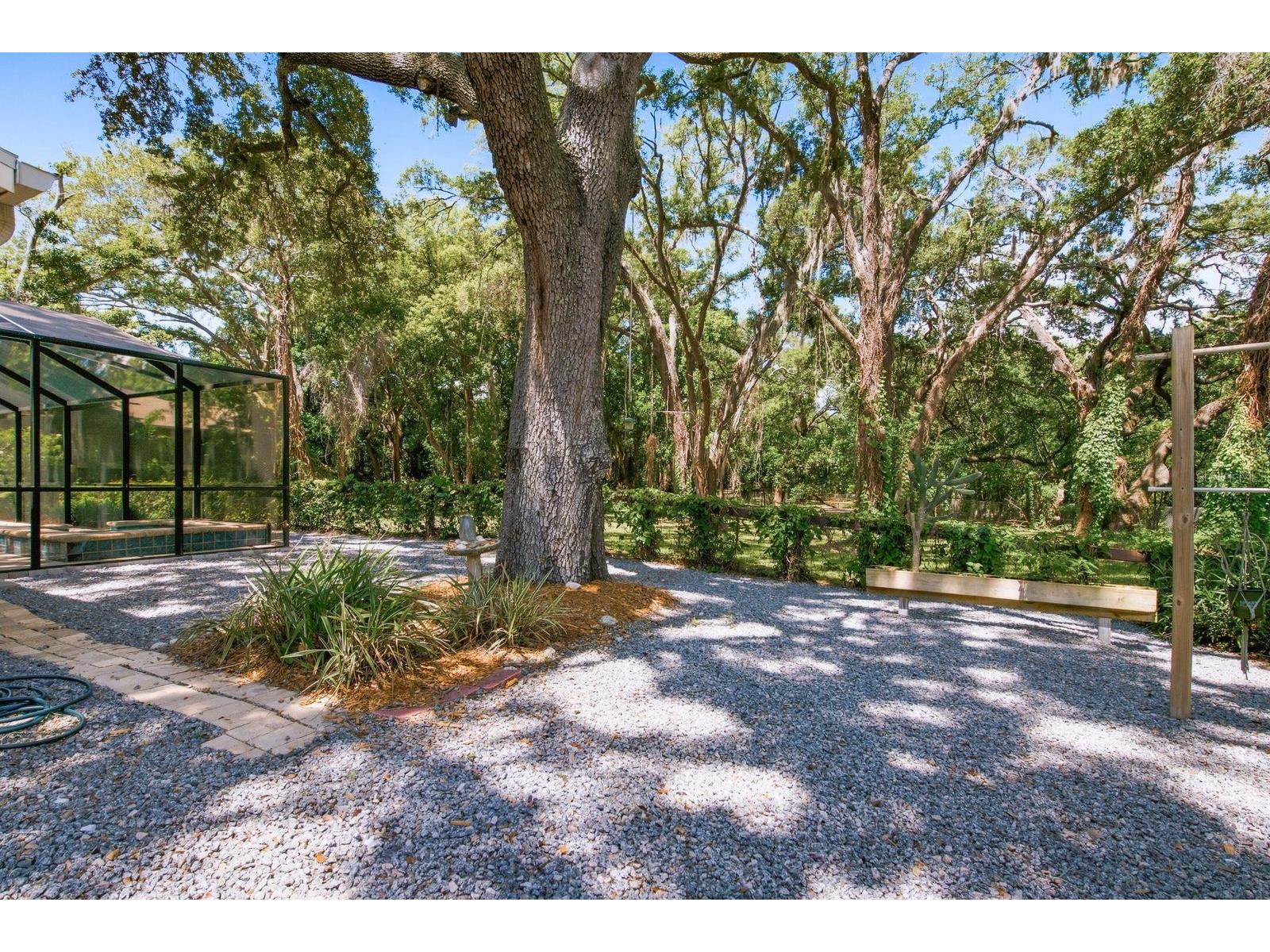 1125 Spanish Oaks Drive W Palm Harbor FL 34683 TB8512699 image55