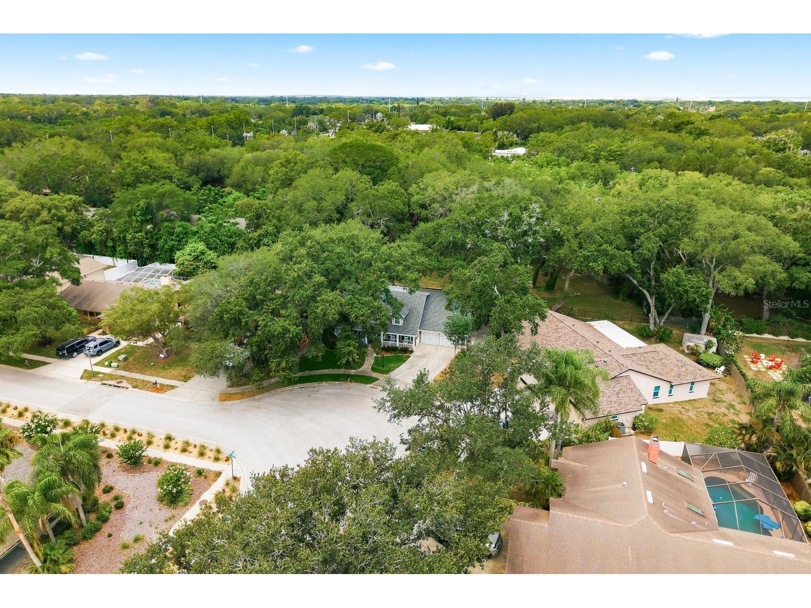 1125 Spanish Oaks Drive W Palm Harbor FL 34683 TB8512699 image62