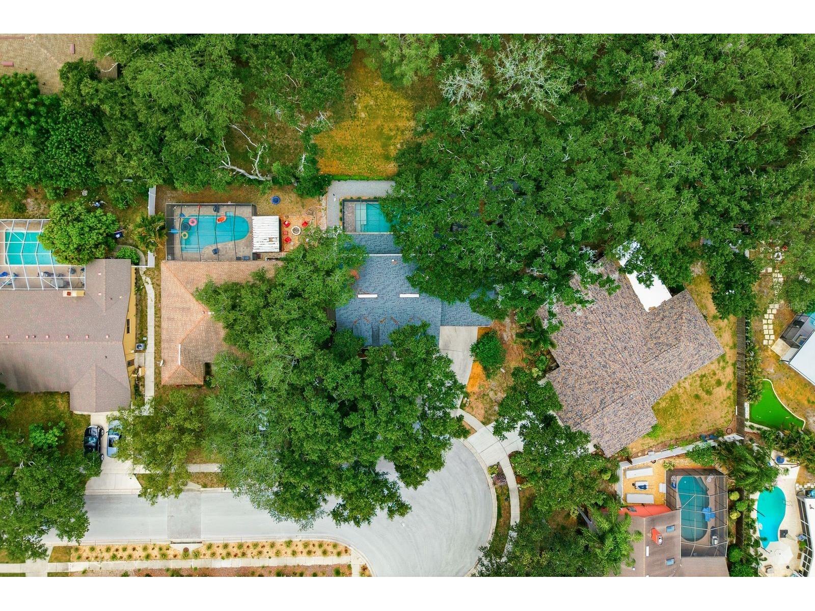 1125 Spanish Oaks Drive W Palm Harbor FL 34683 TB8512699 image63