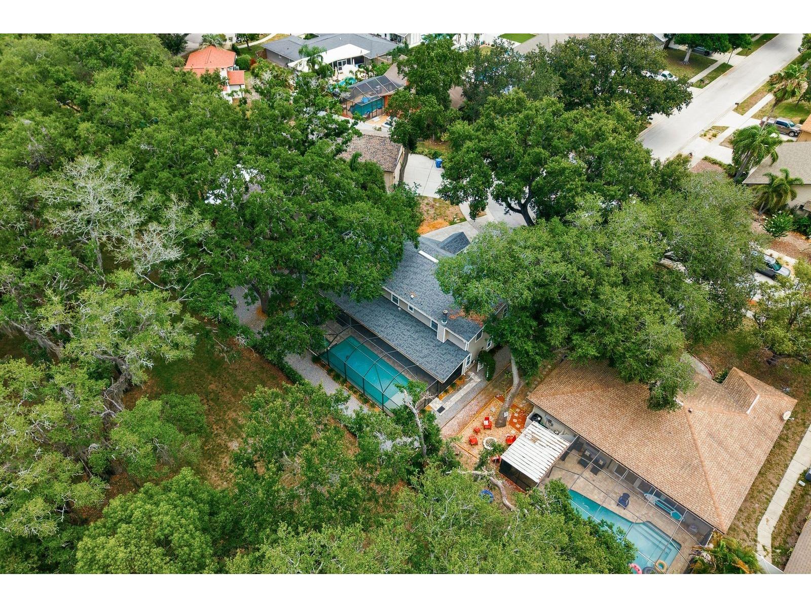 1125 Spanish Oaks Drive W Palm Harbor FL 34683 TB8512699 image64