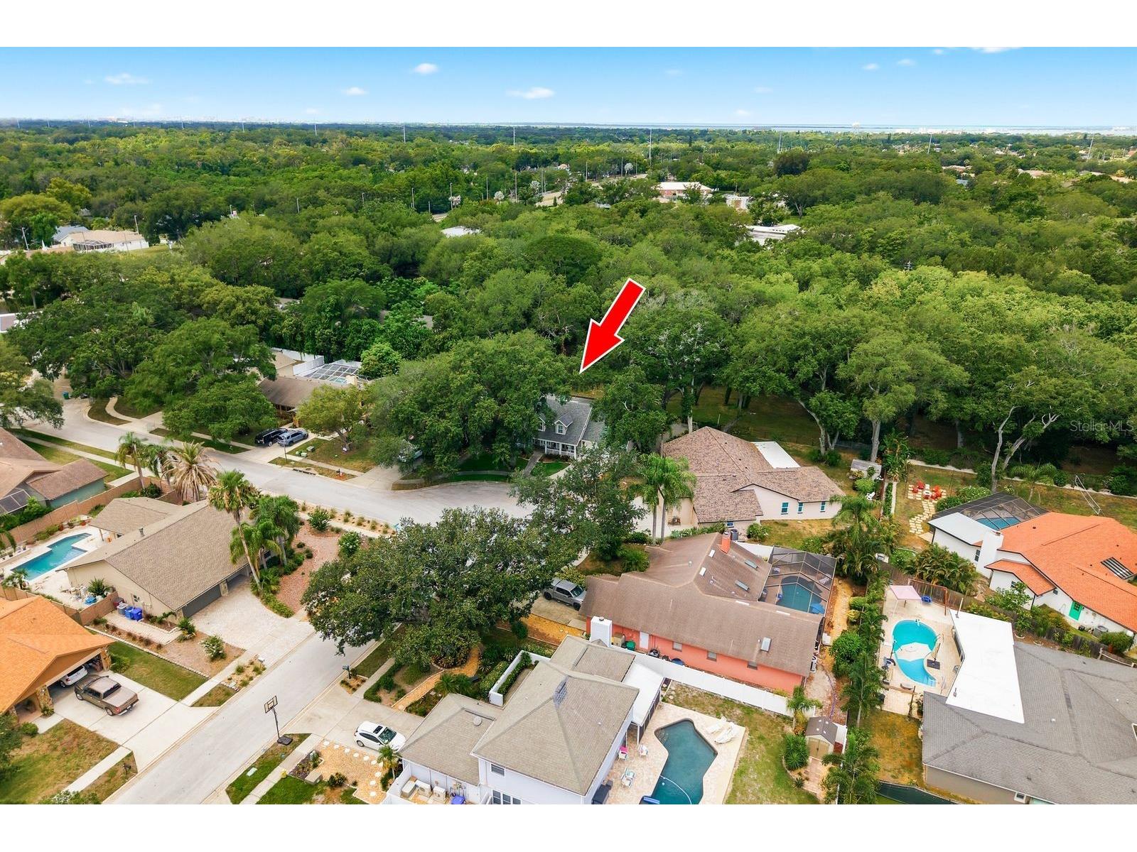 1125 Spanish Oaks Drive W Palm Harbor FL 34683 TB8512699 image66