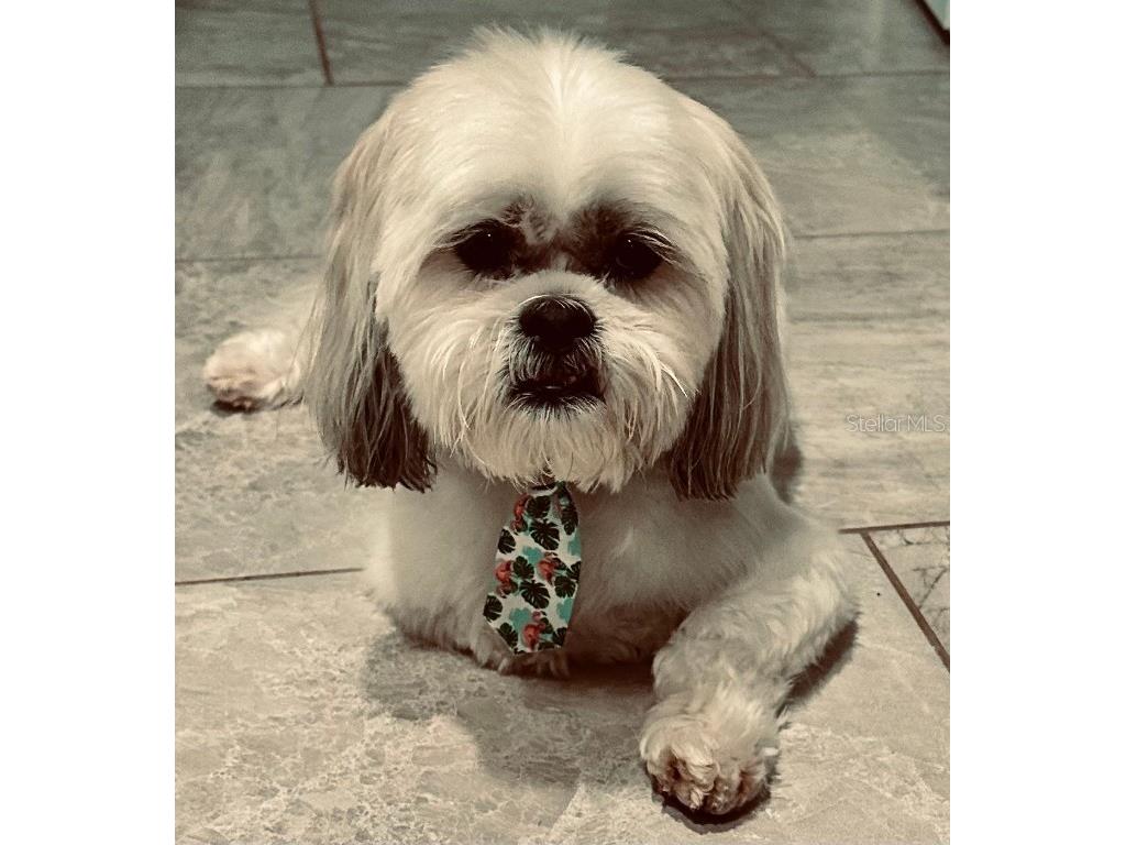 1125 Sunland Road Daytona Beach FL 32114 FC313126 image50