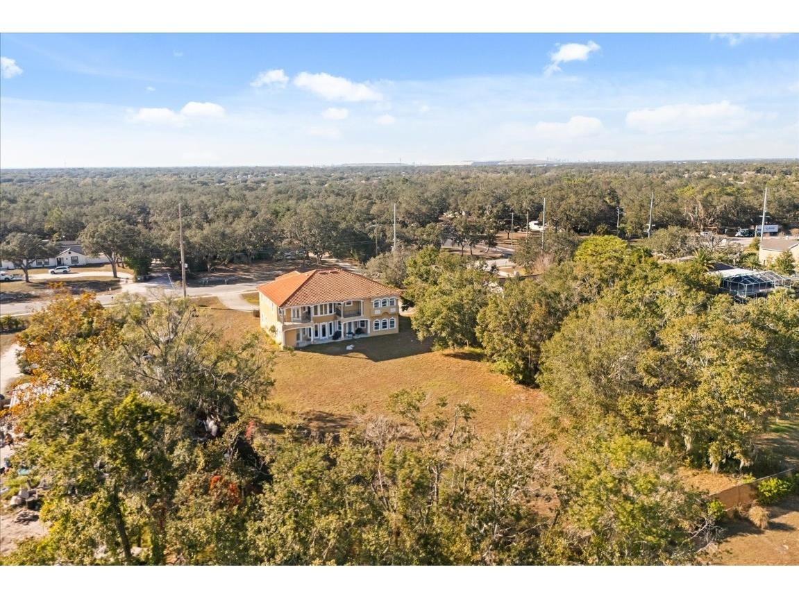 11250 Mcmullen Road Riverview FL 33569 O6368225 image15