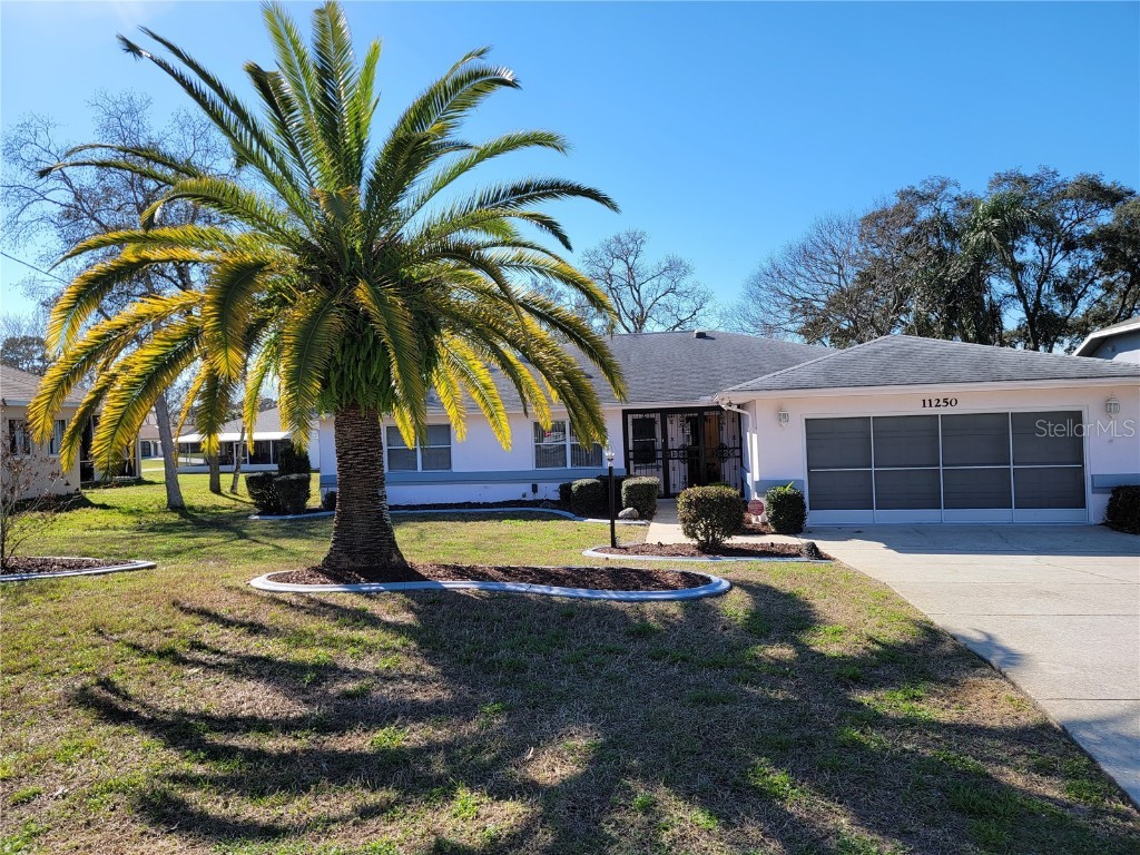 11250 Riddle Drive Spring Hill FL 34609 U8192440 image1