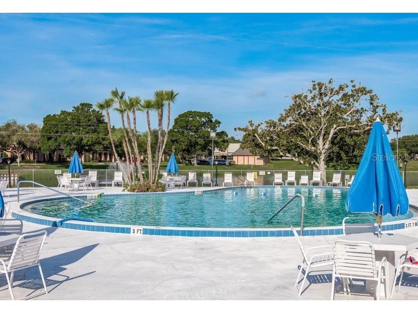 11251 80th Avenue #310 Seminole FL 33772 TB8480689 image34