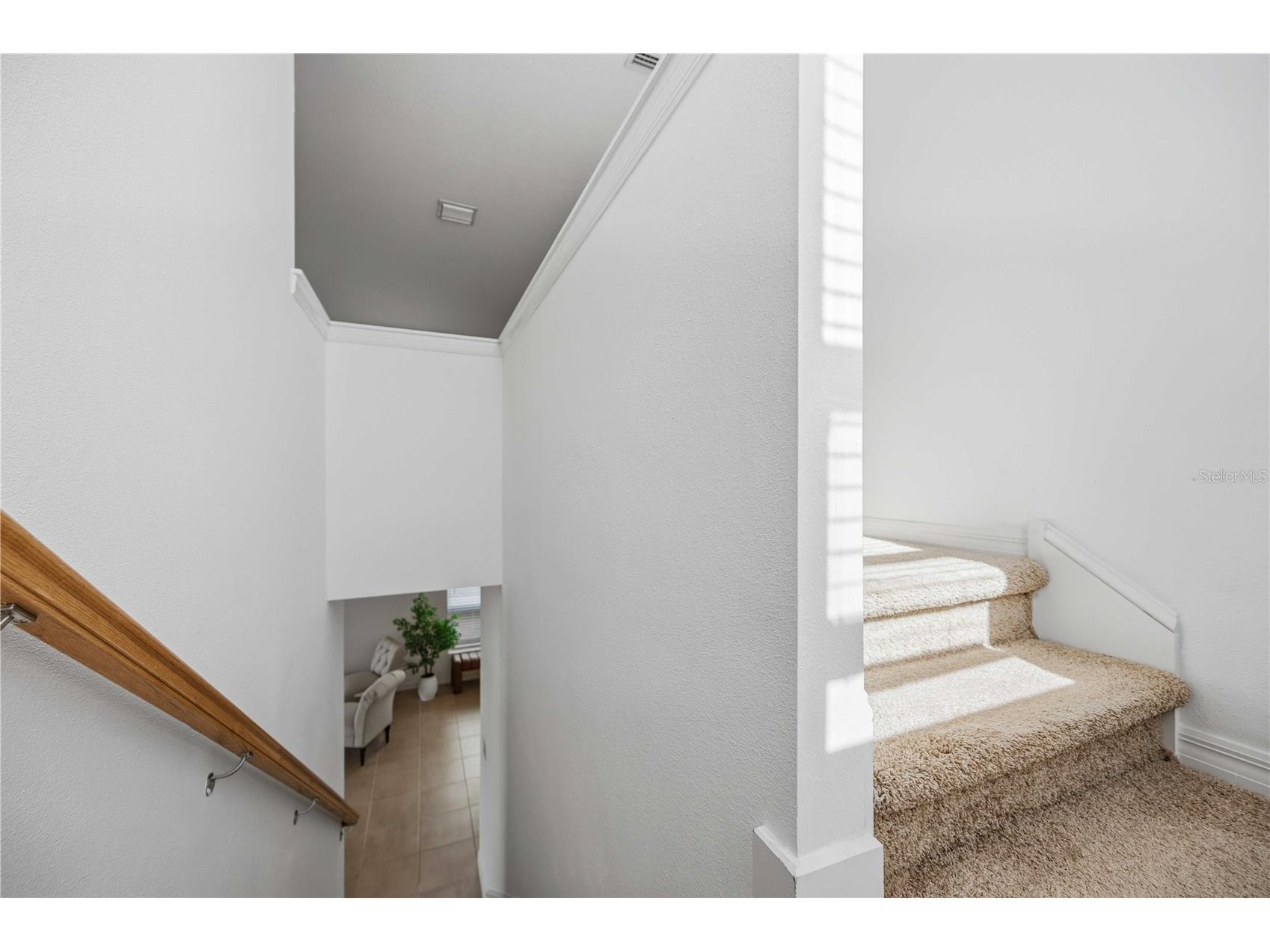 11252 Fieldstone Drive Palmetto FL 34221 A4677219 image21