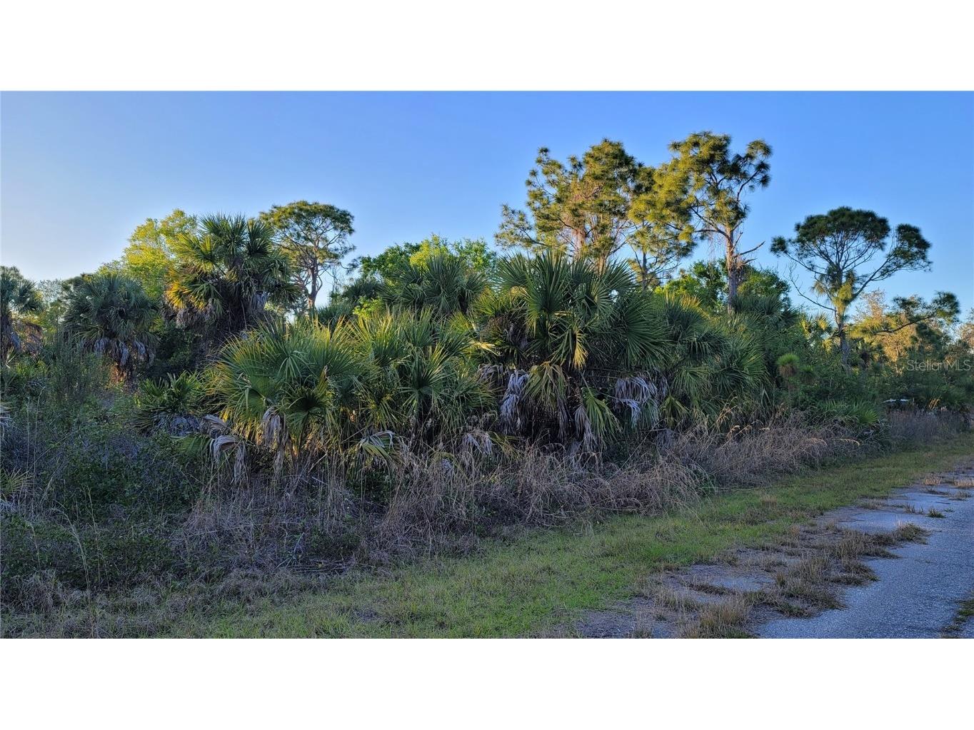 1125231221 Chinabox Street North Port FL 34288 C7487547 image1