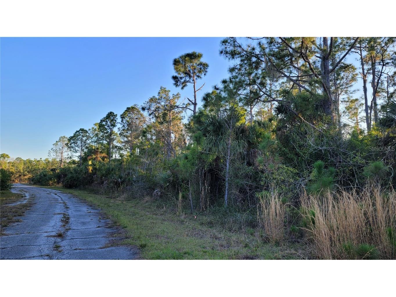 1125232807 Breadnut Street North Port FL 34288 C7487546 image1