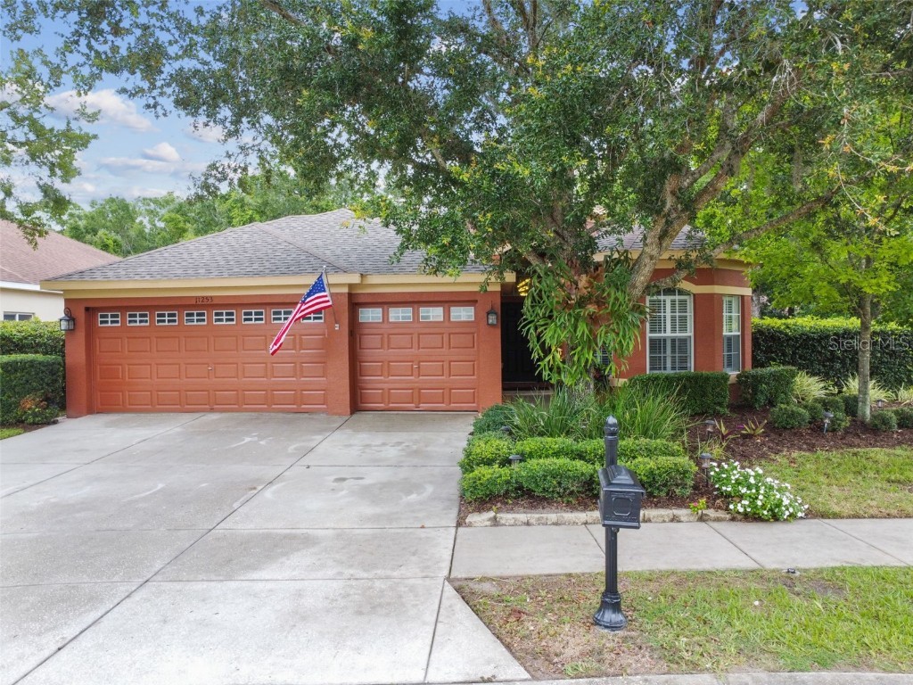 11253 Belle Haven Drive New Port Richey FL 34654 U8202909 image1