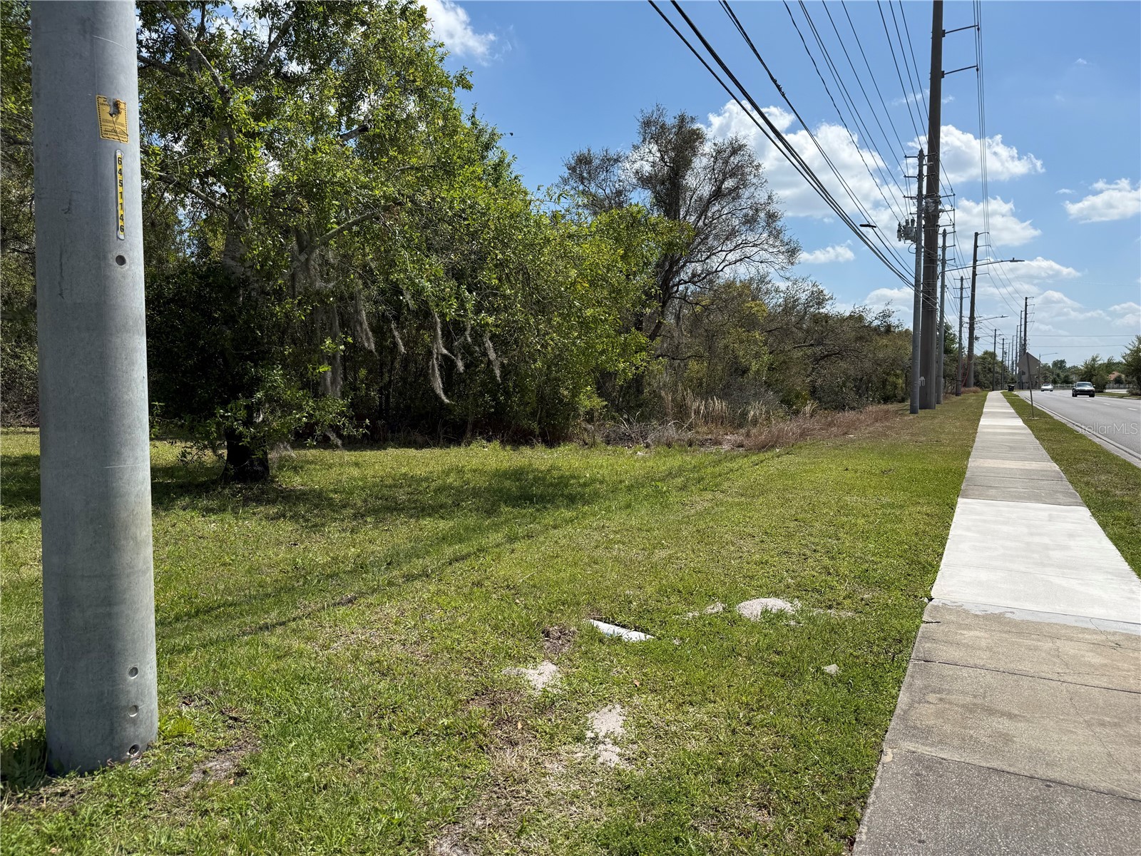 11253 S Apopka Vineland Road Orlando FL 32836 O6394526 image2