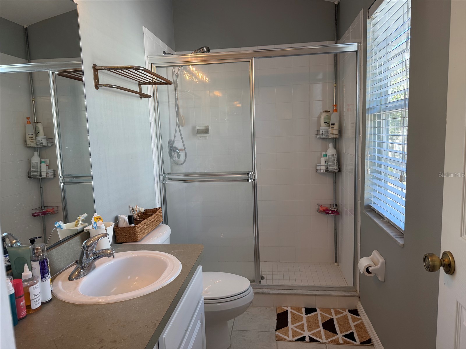 11253 Windsor Place Circle Tampa FL 33626 TB8485587 image10