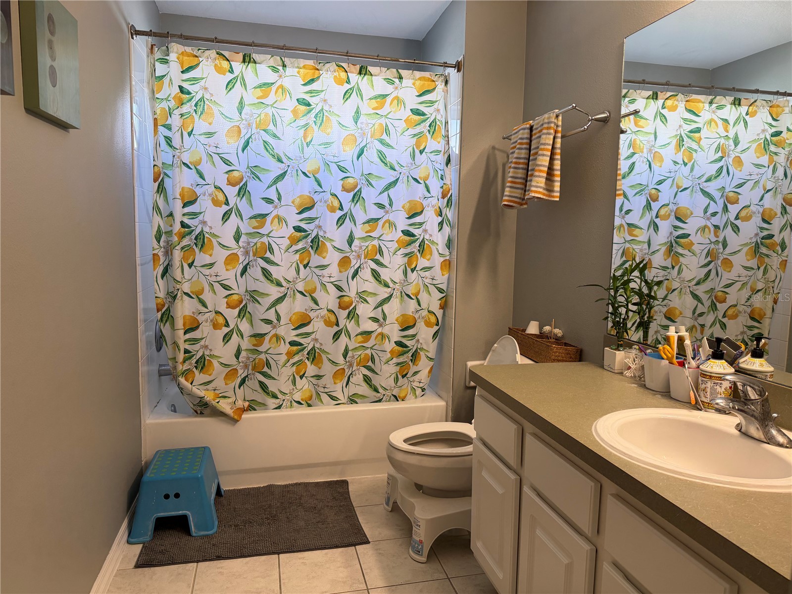 11253 Windsor Place Circle Tampa FL 33626 TB8485587 image14