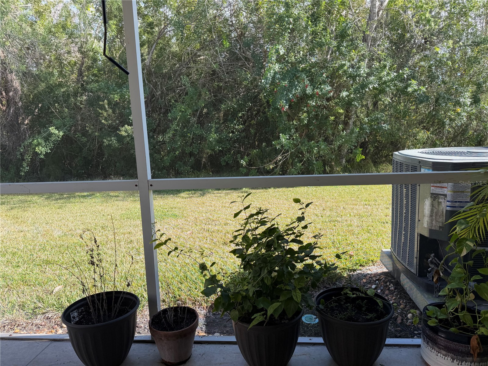 11253 Windsor Place Circle Tampa FL 33626 TB8485587 image20