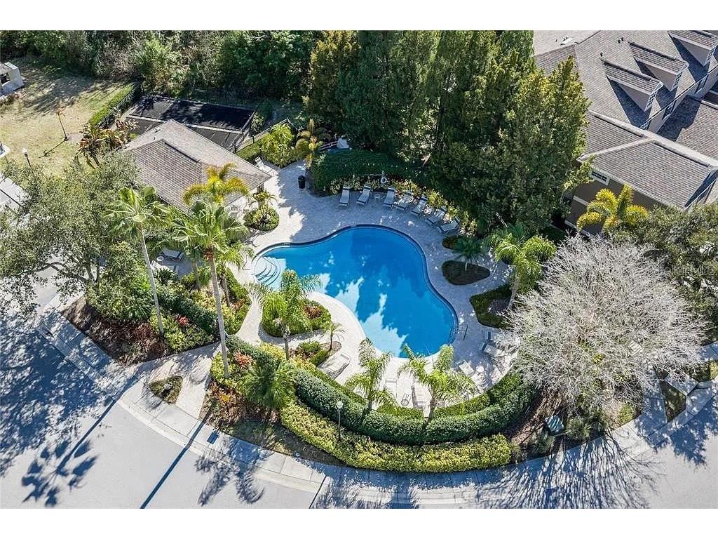 11253 Windsor Place Circle Tampa FL 33626 TB8485587 image26